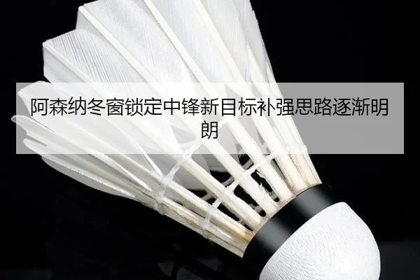 阿森纳冬窗锁定中锋新目标补强思路逐渐明朗